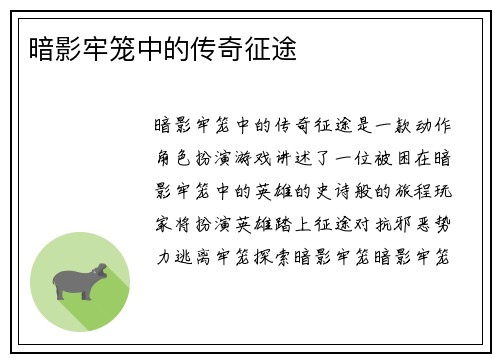 暗影牢笼中的传奇征途
