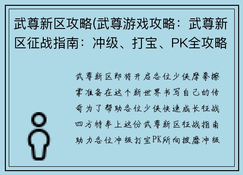 武尊新区攻略(武尊游戏攻略：武尊新区征战指南：冲级、打宝、PK全攻略)