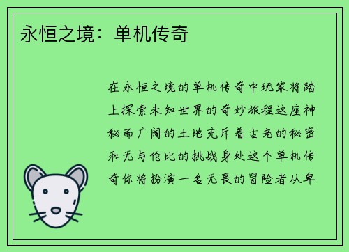 永恒之境：单机传奇